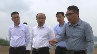 V视|何洪涛调研高标准农田建设项目