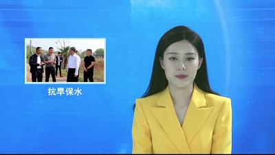 V视|鲁雷调研春耕备耕和蓄水保水工作