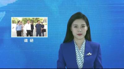 V视|鲁雷调研安全生产及群众身边腐败问题整治工作