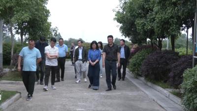 V视|市政协开展镇（街道）污水处理厂运营管理专项民主监督