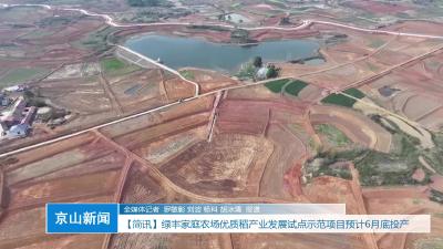 V视|绿丰家庭农场优质稻产业发展试点示范项目预计6月底投产