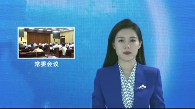 V视|二届市委2025年第10次常委会会议举行