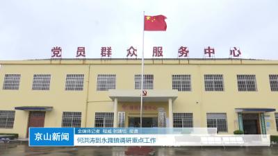 V视|何洪涛到永漋镇调研重点工作
