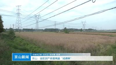 V视|京山：油菜测产喜提亮眼“成绩单”