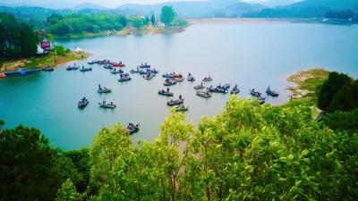 荆门京山：借村企协作铺就富民新道