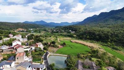 湖北京山：以生态旅游激活乡村振兴新动能