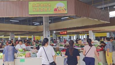 湖北京山：“小菜篮”装起“大民生”