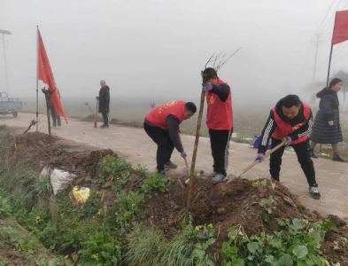 李市镇退役军人志愿者参加植树活动