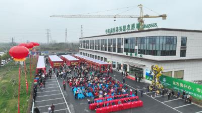 沙洋县首届农贸美食节农特产品博览会开幕
