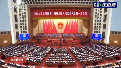 习近平出席十四届全国人大一次会议第二次全体会议