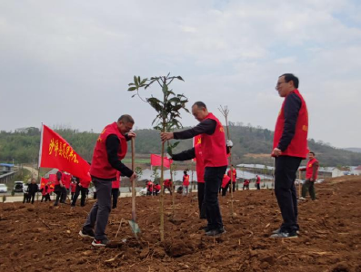 马良镇开展义务植树活动为“林长制”添绿