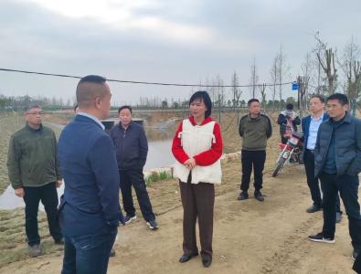 李莉丽督办西荆河水环境突出问题整改工作