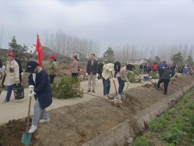 县政协组织开展义务植树活动