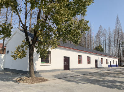 李市镇漳湖垸社区：提升管理质效 为老服务更贴心