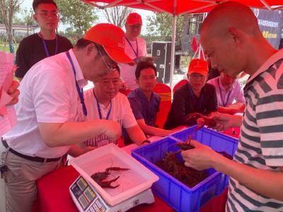 荆门市2023年小龙虾美食旅游文化节虾王争霸赛举行