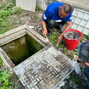 县住建局：加强市政设施维护 助力创卫复审