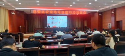 县委办公室组织开展练笔提能书法培训