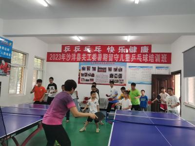 沙洋县：2023年暑期留守儿童乒乓球培训班开班
