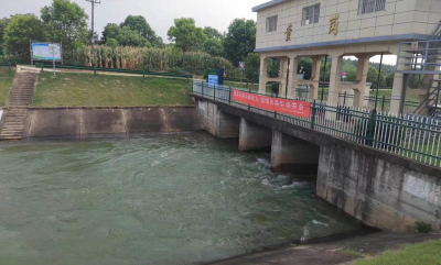 涓涓细流润心田——沙洋县（县、镇）两级人大代表合力保灌溉