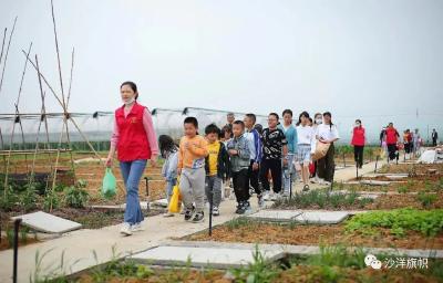 官垱镇高桥社区：强化服务 提升“一老一小”幸福感
