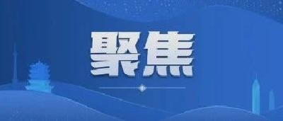 新华社评论员：弘扬宪法精神，建设法治文化——写在第十个国家宪法日到来之际