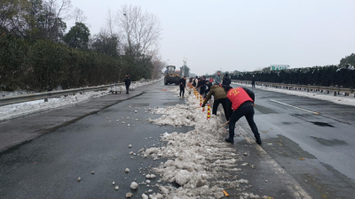 【扫雪除冰·情暖沙洋】纪山镇：  雨雪无情人有情  贴心守护暖人心