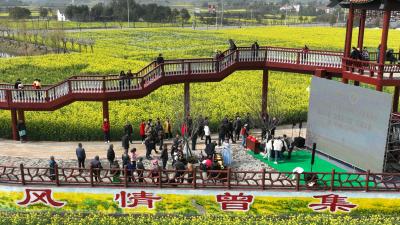 第三届湖北乡村音乐潮荆门分赛场海选暨沙洋县“好歌天天唱”花海大赛第二场海选举行