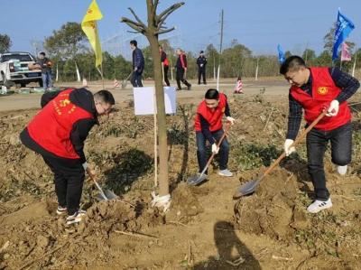 沙洋万名“志愿红”助力城乡披上生态绿