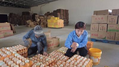 【展示劳模风采 弘扬劳模精神】刘若兰：扎根农村做一粒种子 在春天发芽