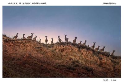 2024楚粤青“家乡印象”摄影作品联展（5）