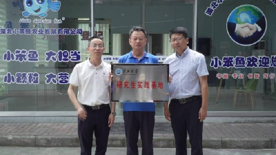 湖北省科技特派员工作站（沙洋镇）揭牌  