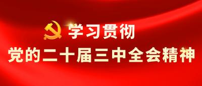 全县2024年“接您回家”常态化工作半年调度会召开