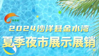 2024沙洋县金水湾夏季夜市展示展销