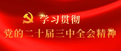 三中全会《决定》名词卡片天天学：惩罚性赔偿