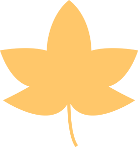 立秋，这份养生攻略请收好