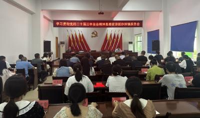 【宣讲进行时】学习贯彻党的二十届三中全会精神县委宣讲团沙洋镇报告会举行    