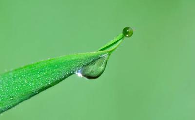 叮！您的“立秋养生指南”请收好！