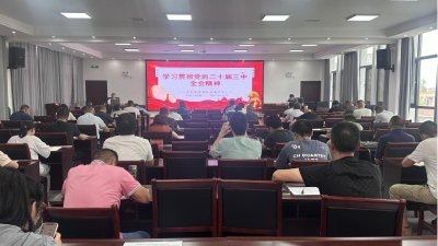 【宣讲进行时】学习贯彻党的二十届三中全会精神县委宣讲团高阳镇宣讲报告会举行