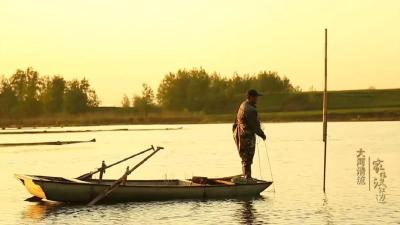 “打鱼人”变“护鱼人” 汉江再现水清鱼跃景象 | 家住汉江边·大河清流