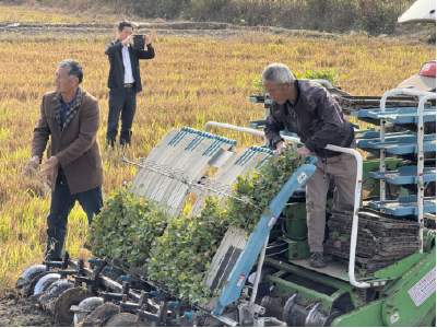 沙洋县举办2024年油菜机械育苗移栽现场会