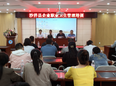 沙洋：加强职业卫生培训  筑牢企业健康防线