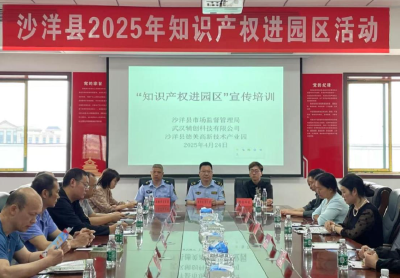 沙洋县举办2025年“知识产权进园区”专题培训活动