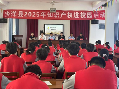 沙洋县开展2025年知识产权进校园活动