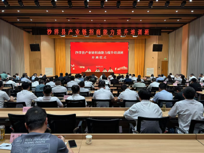 沙洋县举办产业链招商能力提升培训班