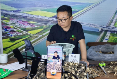 沙洋县后港镇：  电商赋能产业兴 黎坪蝶变展新颜