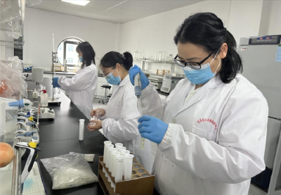 沙洋县公共检验检测中心顺利通过2025年粮食质量安全检测机构能力验证