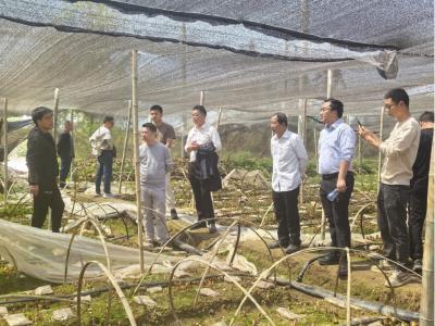 后港镇： 外出学习拓思路，借鉴经验促发展