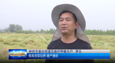 荆门：推广油菜“两段式”收割技术 预计减损超7800万斤