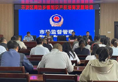 沙洋县市场监管局举办开发区及周边乡镇知识产权培育发展培训会