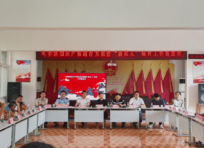 毛李镇开展知识产权培育发展培训